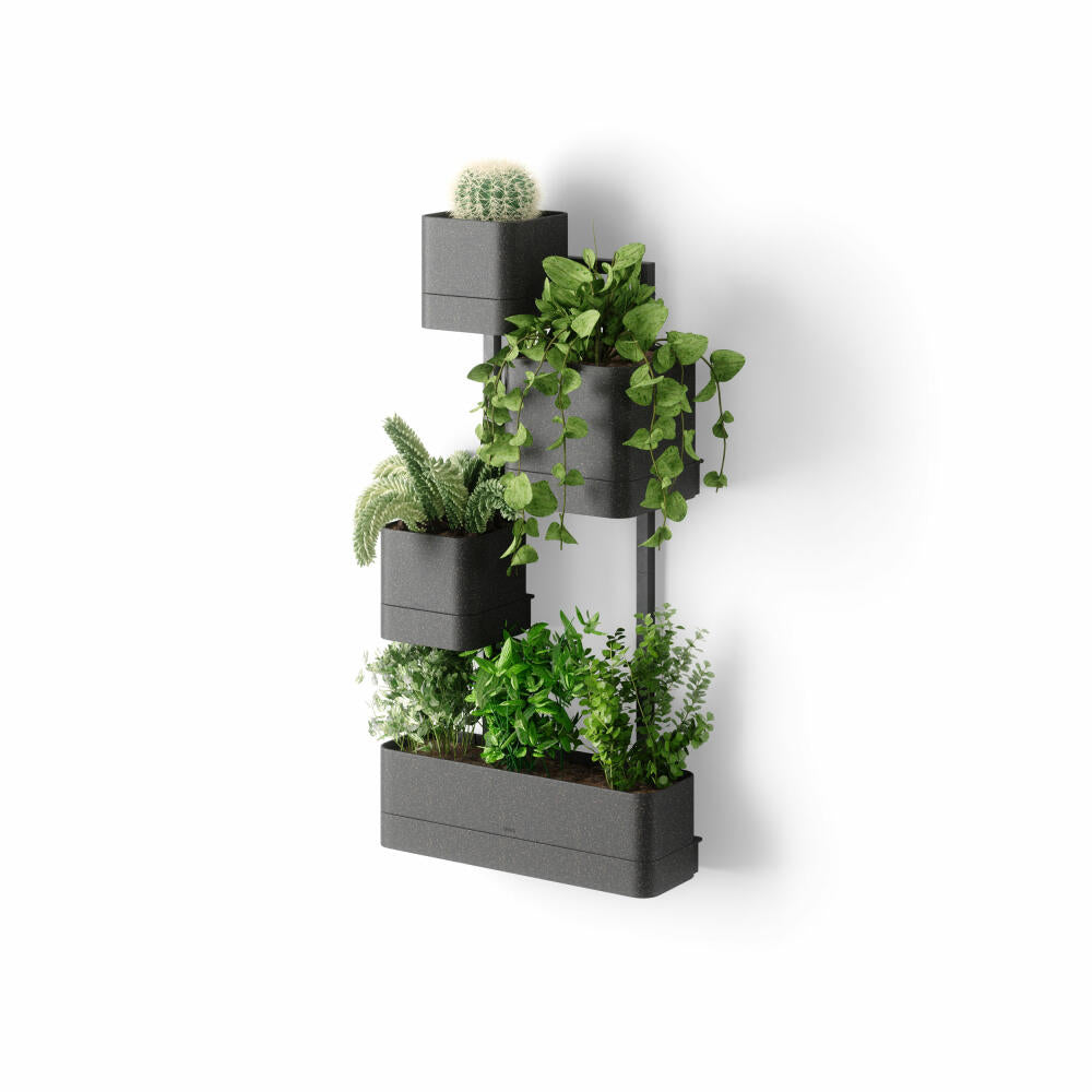Umbra wall planter Cubiko 4-piece, flower boxes, PP plastic, black, 1018767-040