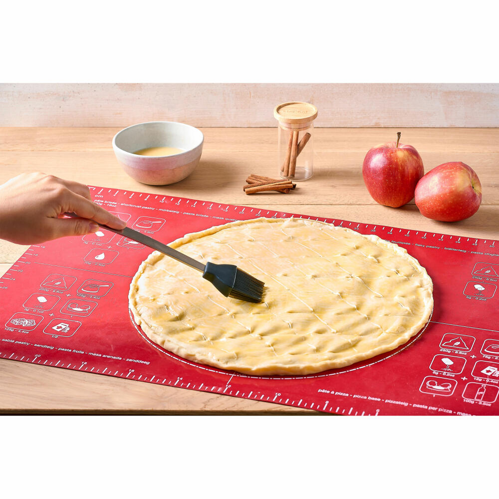 Mastrad Küchenpinsel, Marinierpinsel, Backpinsel, Silikon, Edelstahl, Grau, 26 cm, F13014