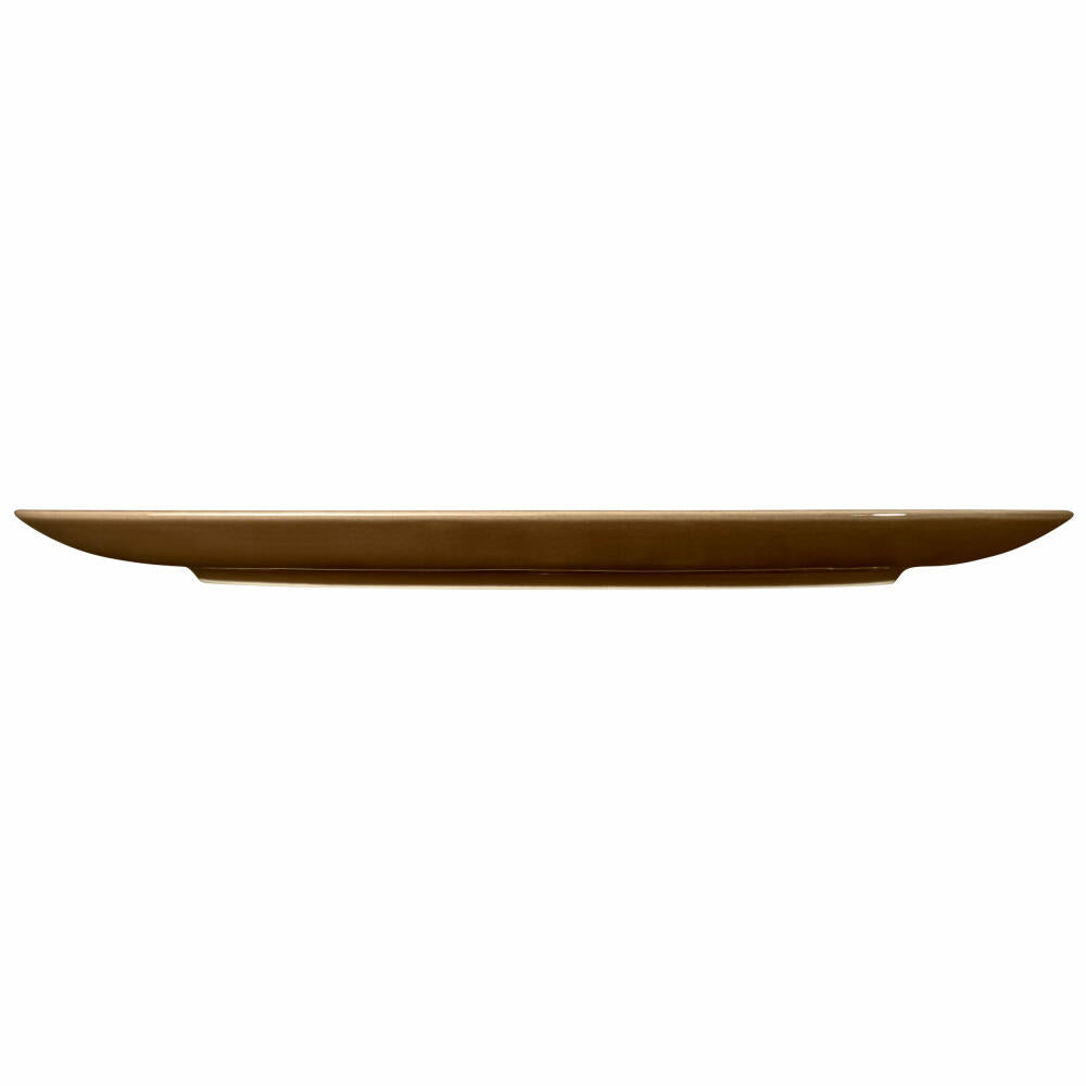 Seltmann Weiden Terra dinner plate, plate, porcelain, earth brown, Ø 31.5 cm, 001.766885