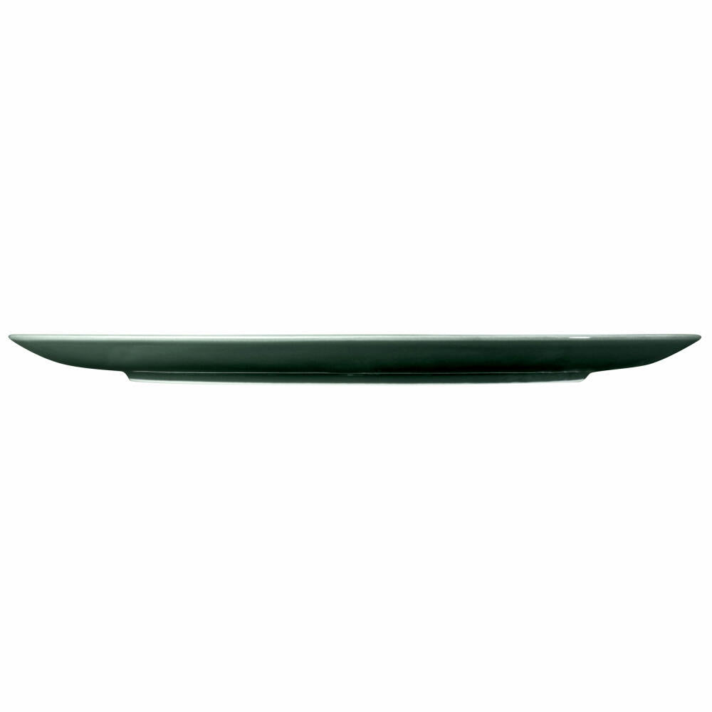 Seltmann Weiden Terra dinner plate, plate, porcelain, moss green, Ø 31.5 cm, 001.766887