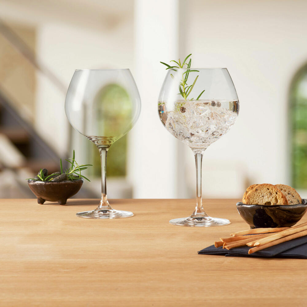 Leonardo Gingläser GIN 2er-Set, Schnapsglas, Trinkglas, Gin Glas, Kristallglas, Klar, 240 ml, 069420