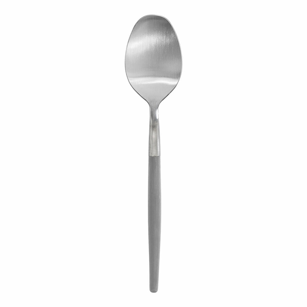 Blomus spoon Maxime, dining spoon, cutlery, stainless steel matt, plastic, Mourning Dove, 64124