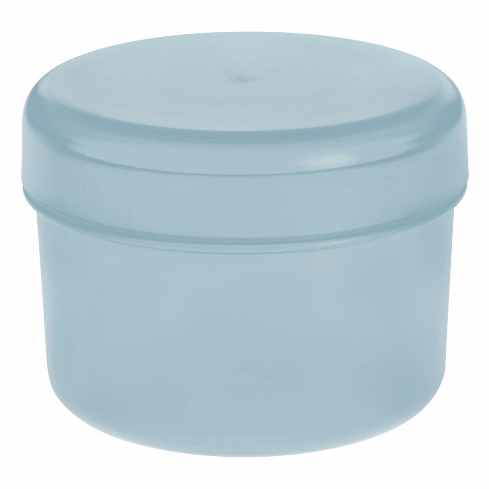 Koziol Rio Vorratsdose mit Deckel, Aufbewahrungsdose, Frischhaltedose, Kunststoff, Powder Blue, 8 cm, 3045639