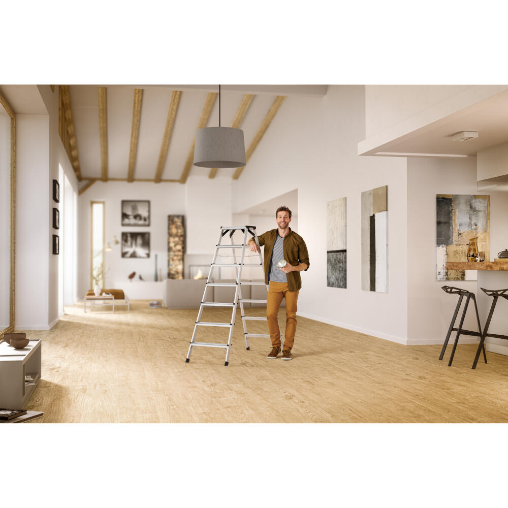 Hailo Stehleiter D60 StandardLine, Alu-Sicherheits-Doppelstufenleiter, Aluminium, Silberfarben, 2x5 Stufen, 8655-007