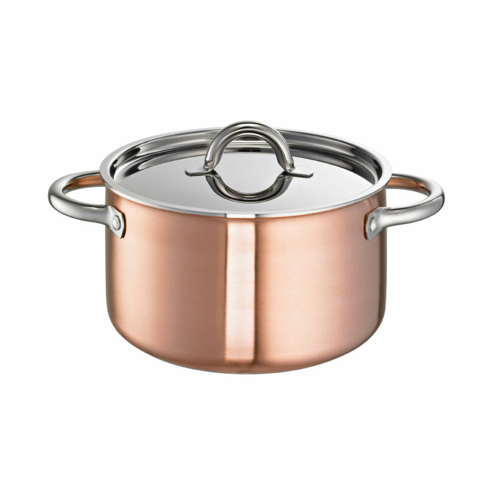 Schulte-Ufer meat pot De Luxe i, casserole, cooking pot, stainless steel 18/10, 24 cm, 6 L, 9510-24 i