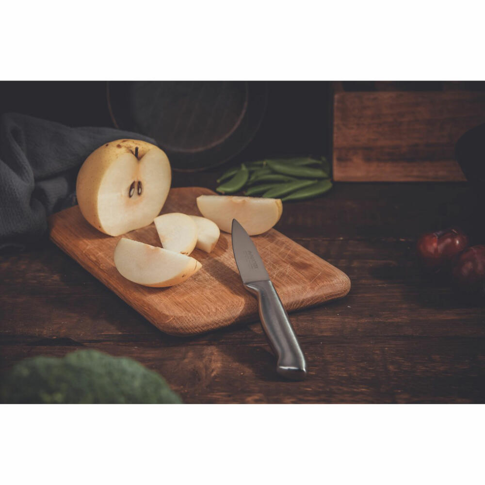 Nirosta Gemüsemesser Star, Küchenmesser, Edelstahl, Silber, 8.5 cm Klingenlänge, 41836