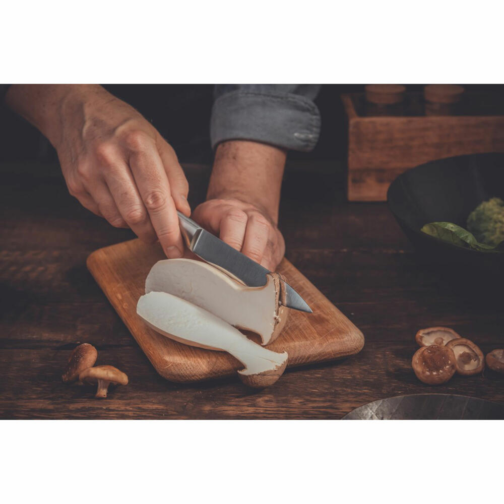 Nirosta Universalmesser Star, Küchenmesser, Edelstahl, Silber, 12 cm Klingenlänge, 41830