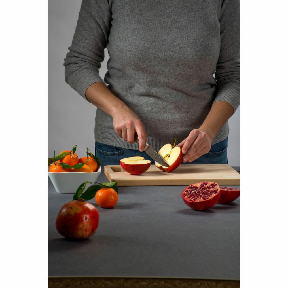 Nirosta Gemüsemesser Swing, Küchenmesser, Edelstahl, Silber, 20 cm, 43712