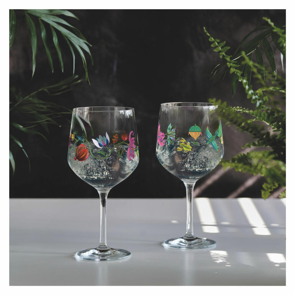 Ritzenhoff Botanic Lights Gin Tumbler 009 010 F24, set of 2, Olaf Hajek, gin glass, crystal glass, 710 ml, 3891002