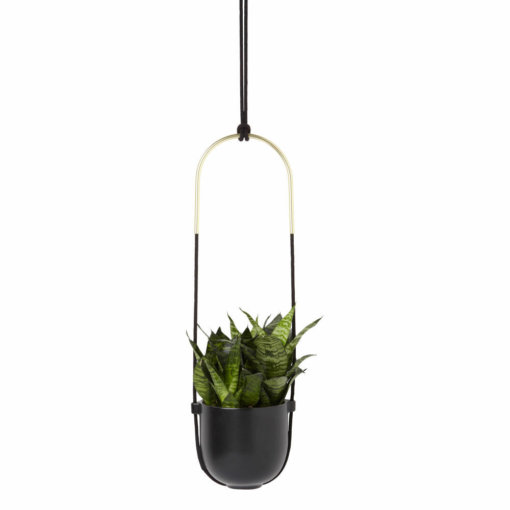 blumenampel zimmerpflanzen Umbra Bolo Blumenampel für Innen, Zimmerpflanze, Sukkulenten, Keramik –  Ambiente3000