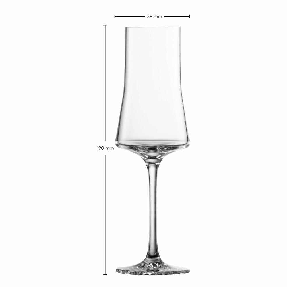 Zwiesel Glas Grappa Glass Echo Set of 4, Crystal Glass, Transparent, 147 ml, 123386