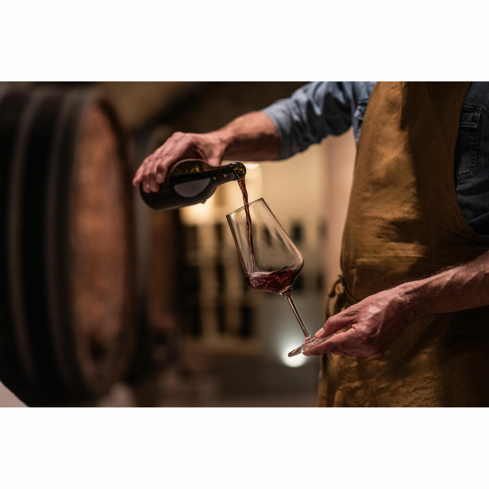 Zwiesel Glass Bordeaux Glass Bouquet Set of 2, Crystal Glass, Transparent, 660 ml, 123737