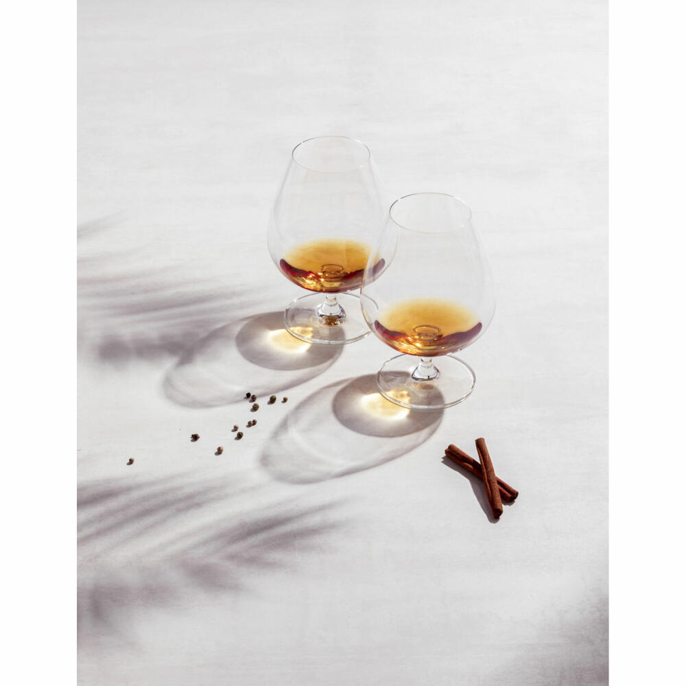 Schott Zwiesel Cognac Glass XXL Bar Special Set of 4, Crystal Glass, Transparent, 774 ml, 123633