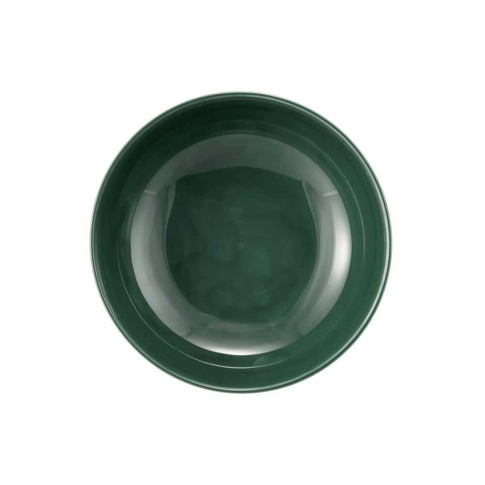 Seltmann Weiden Terra Foodbowl, bowl, porcelain, moss green, Ø 17.7 cm, 001.765018