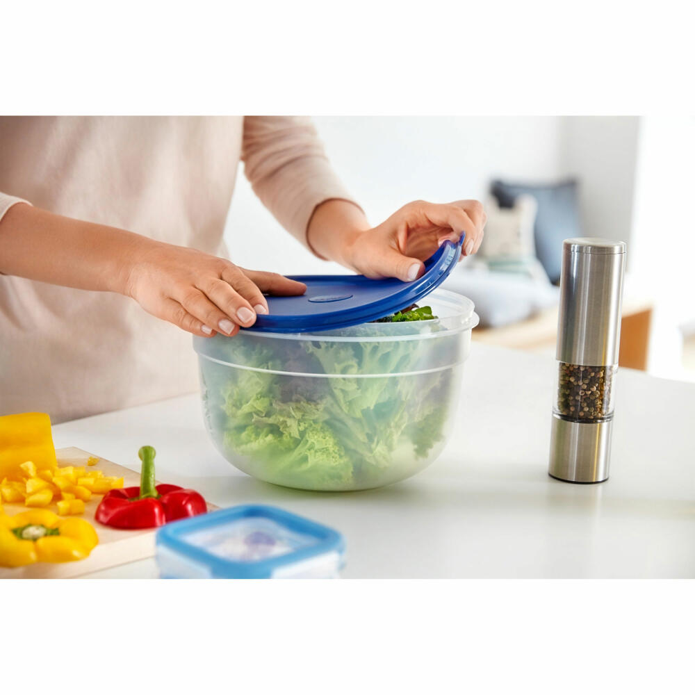 Emsa SUPERLINE Colours Fresh Keeping Bowl Round-High Bowl Lid, Fresh Keeping Container, Plastic, Powder Blue, 2.25 L, N1081300