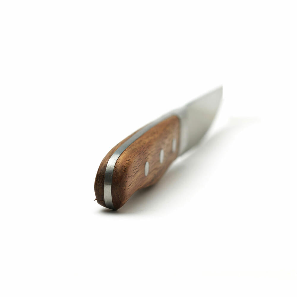 Comas Steakmesser Aconcagua 6er Set, Fleischmesser, Edelstahl, Rosewood Holz, 25.8 cm, 7446