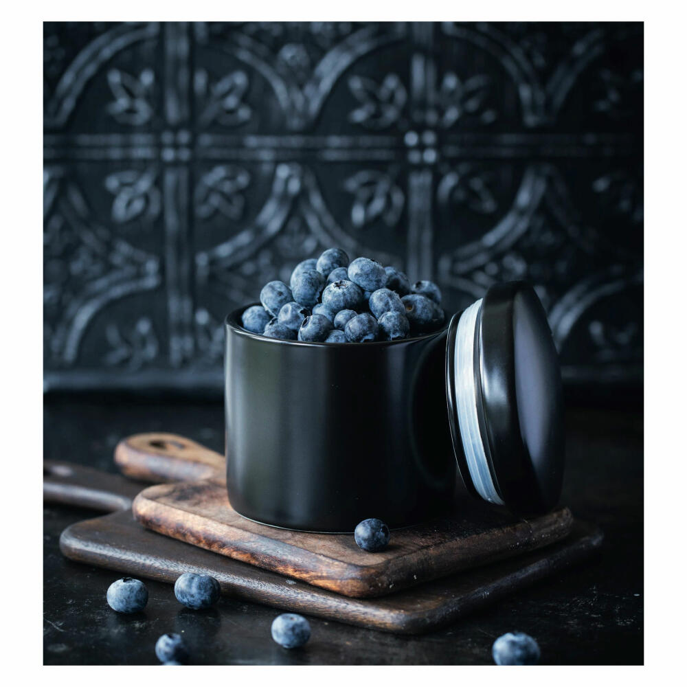 Maxwell & Williams Epicurious Vorratsdose, Aufbewahrungsdose, Porzellan, Schwarz, 600 ml, IA0051