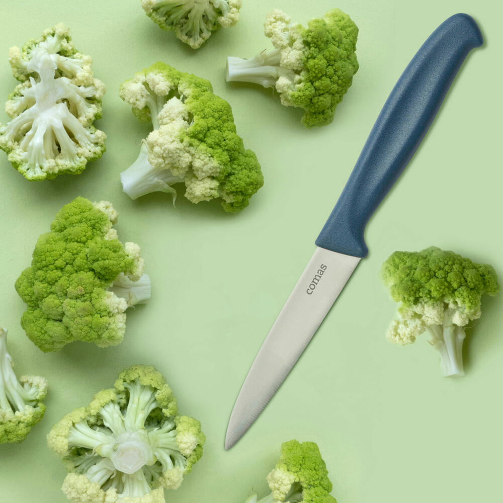 Comas Universalmesser Puntillas Micro Blue, Allzweckmesser, Küchenmesser, Edelstahl, Kunststoff, Blau, 20 cm, 7537