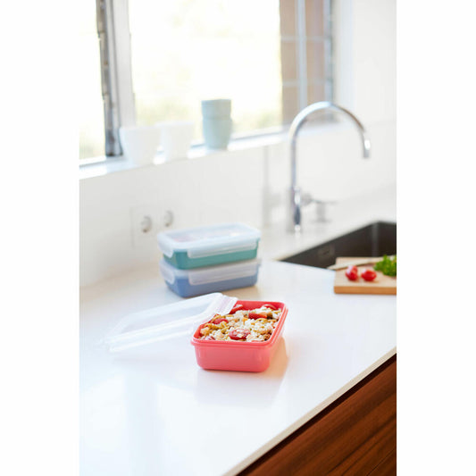 EMSA Clip & Close COLOR EDITION food storage container, storage container, plastic, coral, 0.55 L, N10123