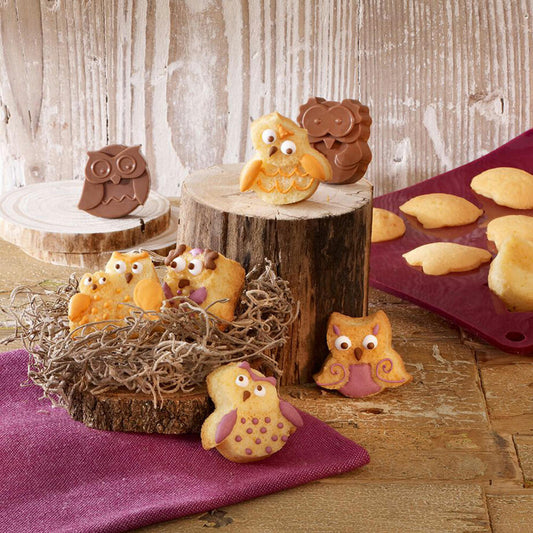 Birkmann Schoko & Kekskonfekt Frido & Friends, Keksform, Backform, Backzubehör, Silikon, 15.8 cm, 253001