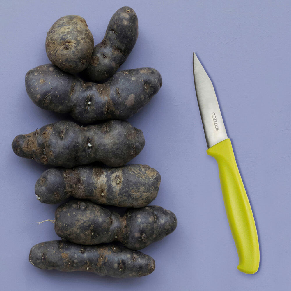 Comas Schälmesser Puntillas Green, Gemüsemesser, Edelstahl, Kunststoff, Grün, 19.5 cm, 7536