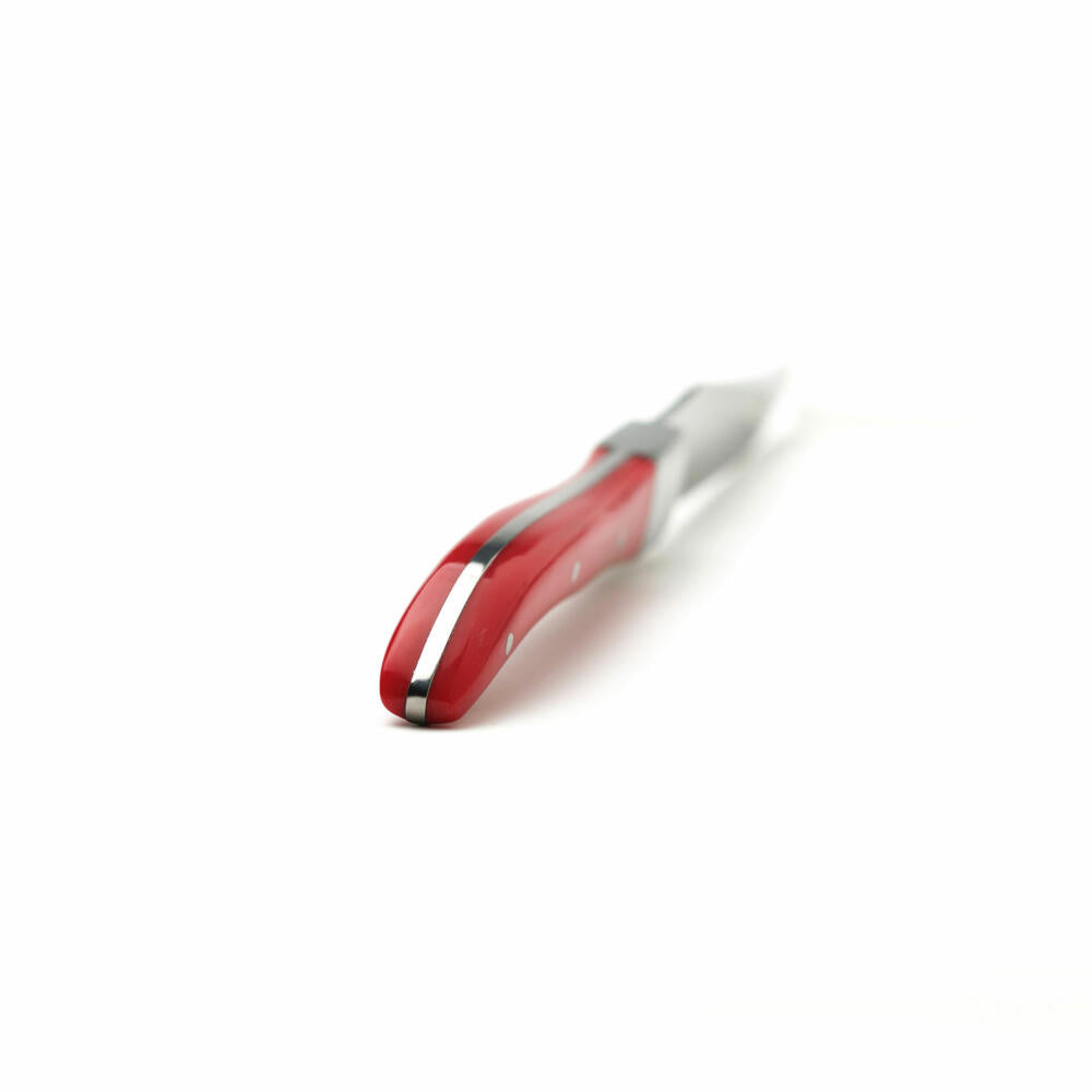 Comas Steakmesser ACR Red 6er Set, Fleischmesser, Edelstahl, Acryl, Rot, 22.5 cm, 7443