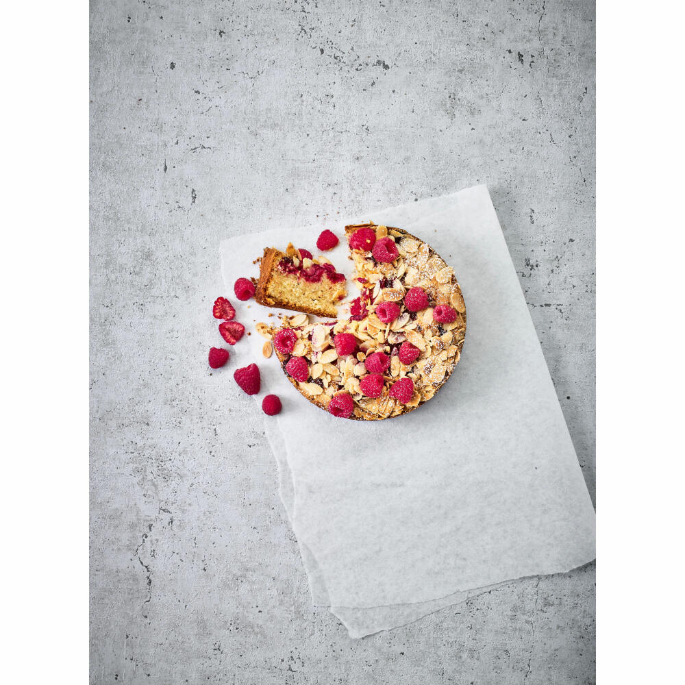 Birkmann Basic Baking Springform, Backform, Kuchenform, Kuchenbackform, Karbonstahl, Ø 20 cm, 883024