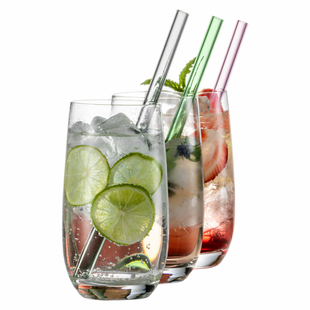 Eisch Glass Straw Set of 2 Gentleman Grey, with Brush, Glass Drinking Straws, Glass, Grey, 20 cm, 86599812