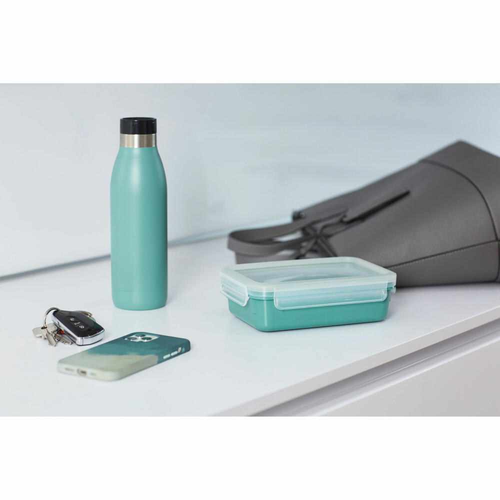 EMSA Clip & Close COLOR EDITION Frischhaltedose, Vorratsbehälter, Vorratsdose, Kunststoff, Pudergrün, 0.8 L, N10127