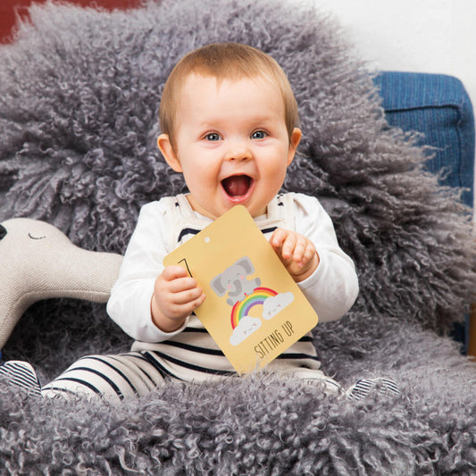 Donkey Products My first 12 months Meilensteinkarten, Kartenset, Karten, Papier, 900251