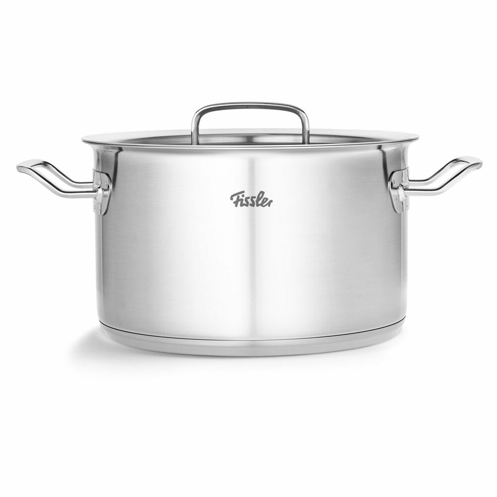 Fissler cooking pot Original-Profi Collection II, pot, stainless steel 18/10, 24 cm, 084 128 24 000 0