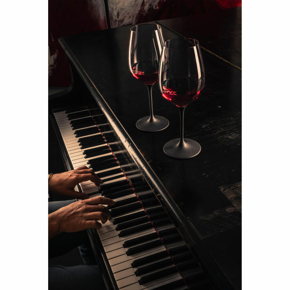 Eisch Champagnerglas 2er Set Kaya Black, Schaumweinglas, Glas, Schwarz, 278 ml, 77350072