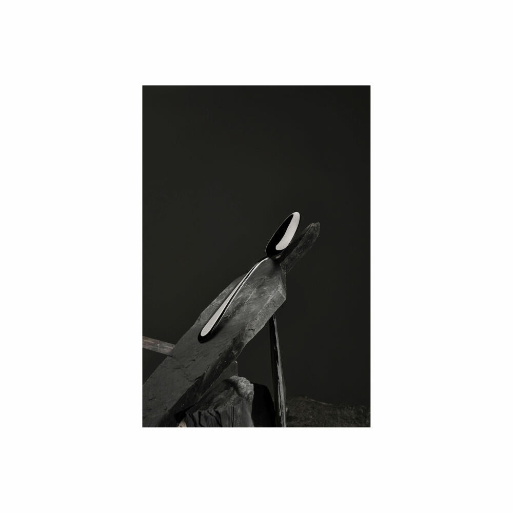 Comas cutlery set Maranta 24-piece, table cutlery, stainless steel 18/10, silver-colored, 6496