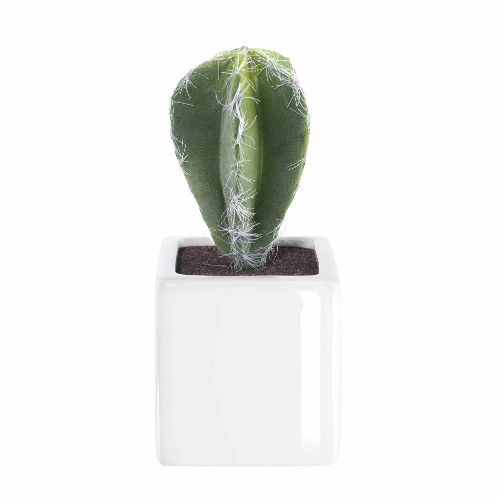 ASA Selection Deko Kaktus V, decorative cactus, decorative plant, art decoration, artificial plant, plastic, white, 8 cm, 11672000