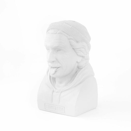 Donkey Products Spardose Historic Hipster Einstein, Münzdose, Polyresin, Weiß, 8 x 9 x 14.5 cm, 330215