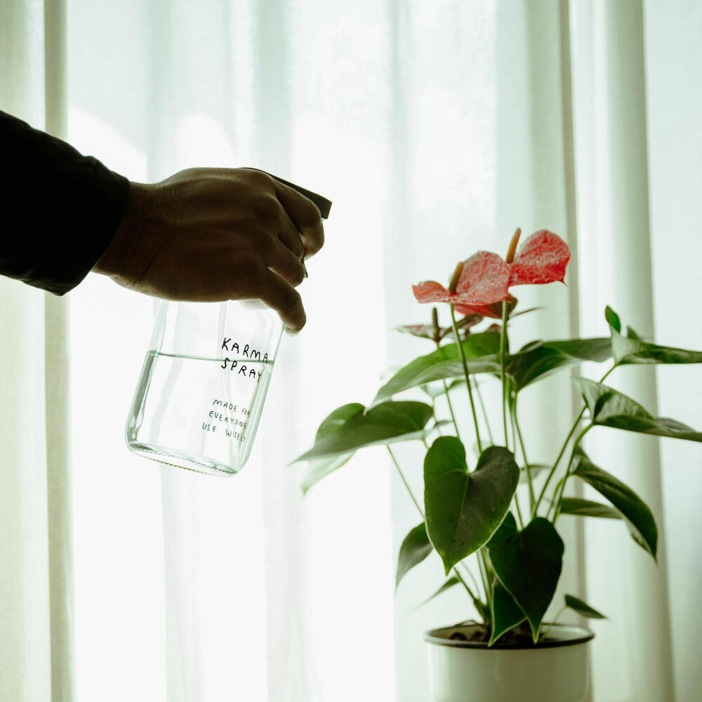 Donkey Products Karma Spray Sprühflasche, Cozy Collection, Johanna Schwarzer, Pflanzensprüher, Glas, 500 ml, 700004