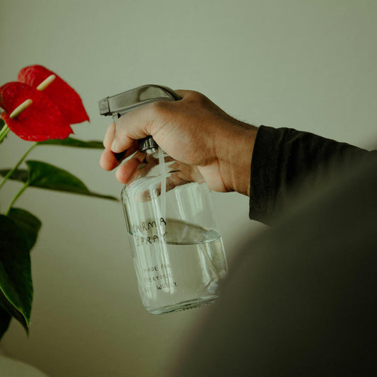 Donkey Products Karma Spray Sprühflasche, Cozy Collection, Johanna Schwarzer, Pflanzensprüher, Glas, 500 ml, 700004