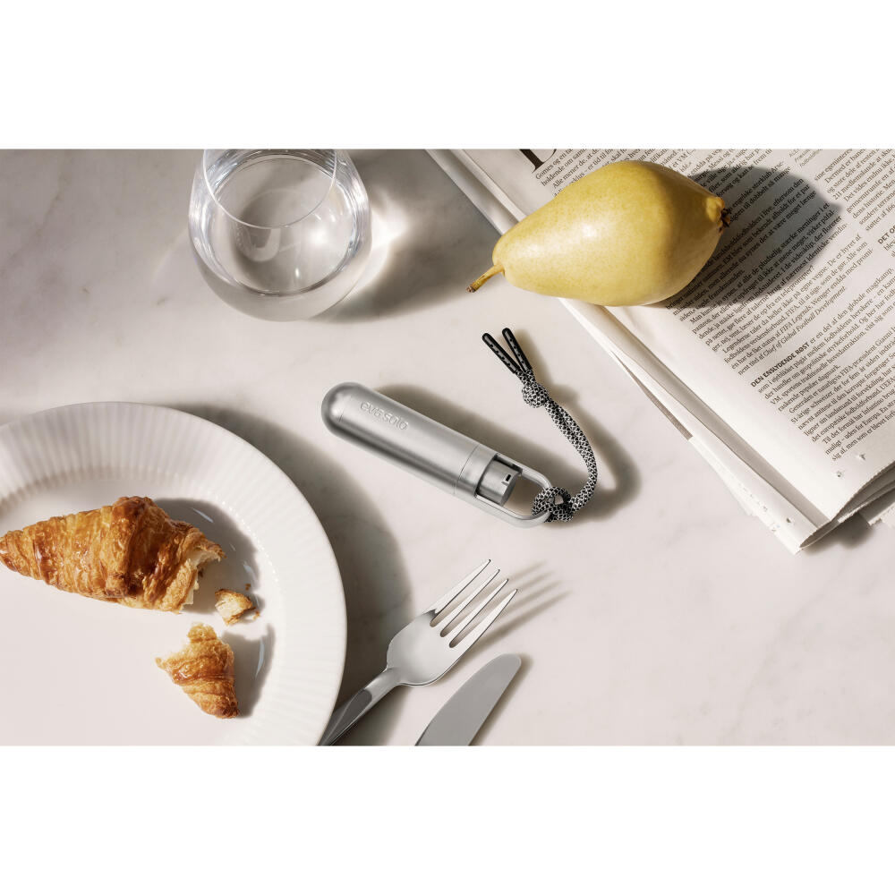 Eva Solo Minidispenser für Handdesinfektionsgel, Spender, Schlüsselanhänger, Kordel, Kunststoff, Silver, 17 ml, 567901