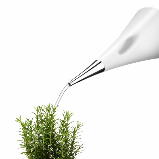 Eva Solo AquaStar watering can, flower watering can, house watering can, irrigation, plastic, white, 2 L, 568303