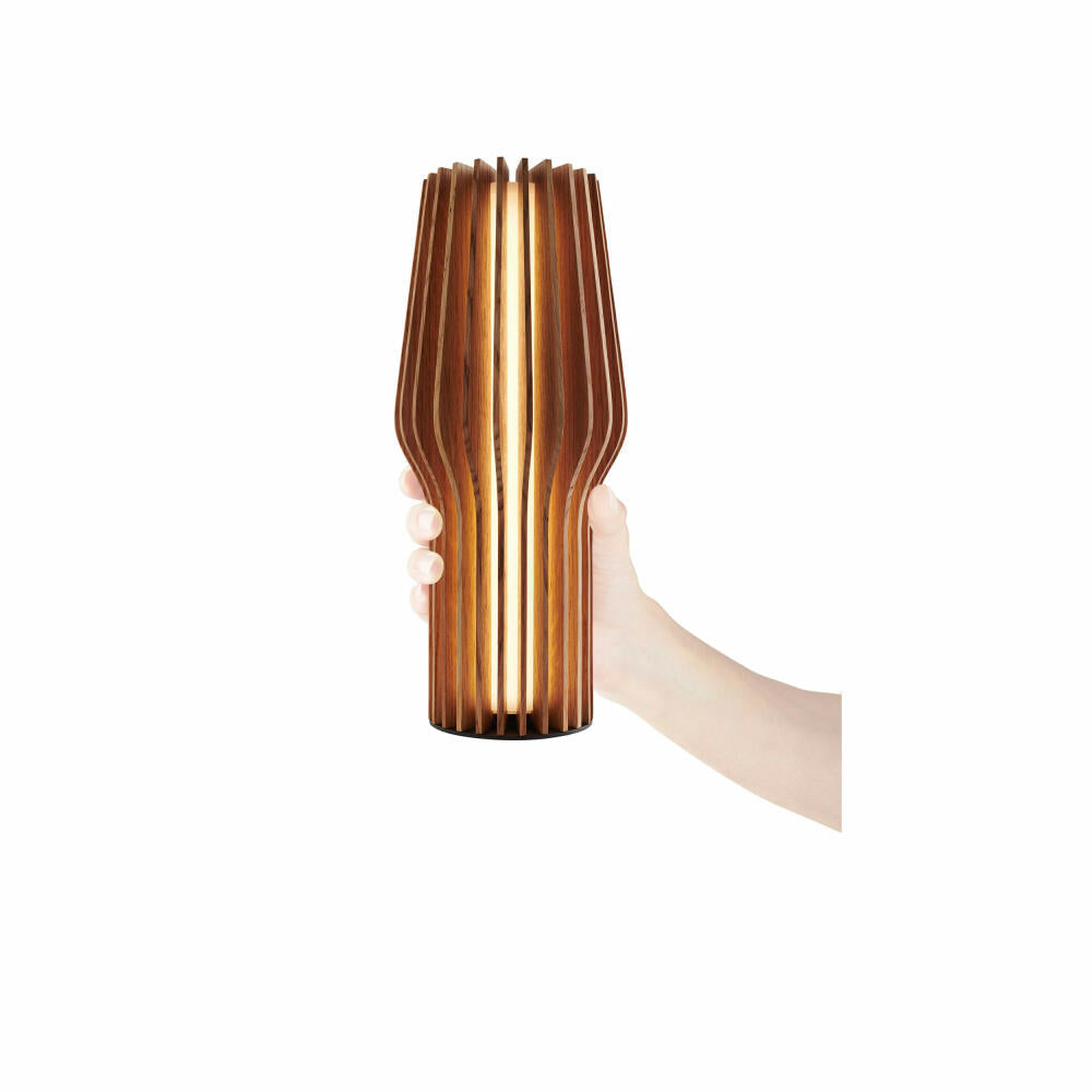 Eva Solo Radiant LED light Oak, decorative light, wireless lighting, oak wood, plastic, oak, 28.5 cm, 571381