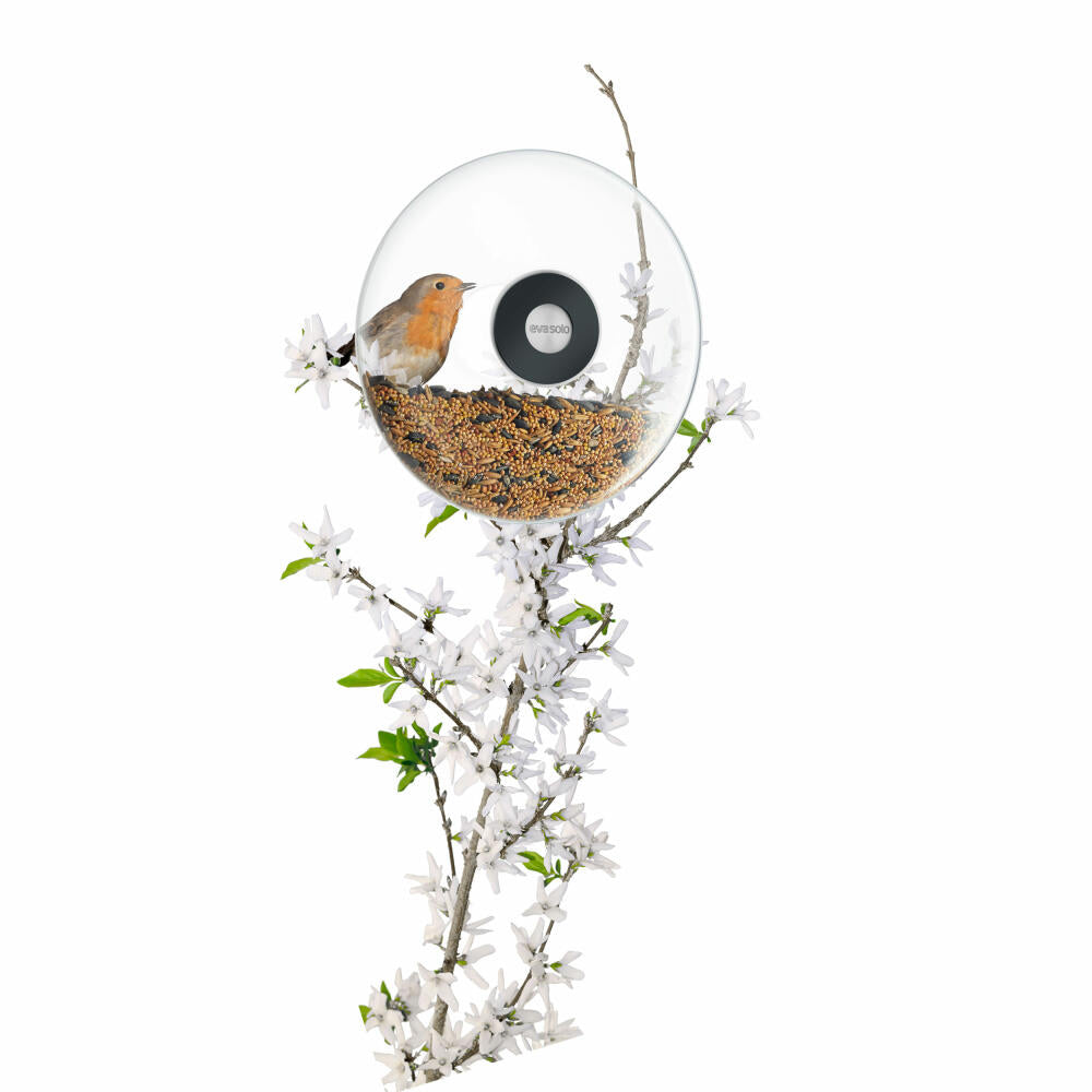 Eva Solo window feeding ball, bird feeder, feeding station, bird food, glass/rubber/stainless steel, transparent, Ø 19.5 cm, 571024