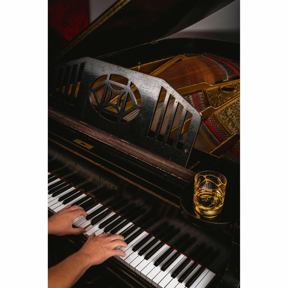 Eisch whiskey glass set of 2 Stargate Gold, whiskey tumblers, crystal glass, gold, 400 ml, 49950015