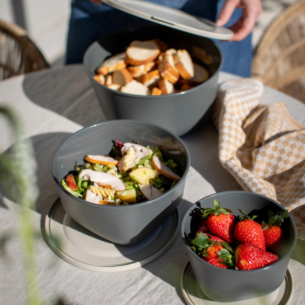 Koziol Connect Box 2 mit Deckel, Biozirkulärer Kunststoff, Nature Flower Blue, 2 L, 7871716