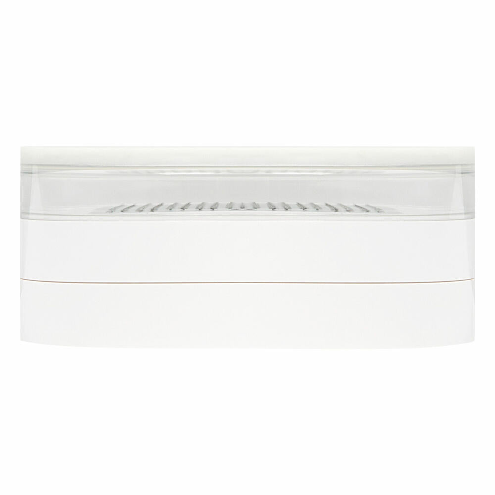 Kai Select Utensilien Ingwer Reibe mit Auffangbehälter, Feinreibe, Gewürzreibe, Knoblauchreibe, DH-5704