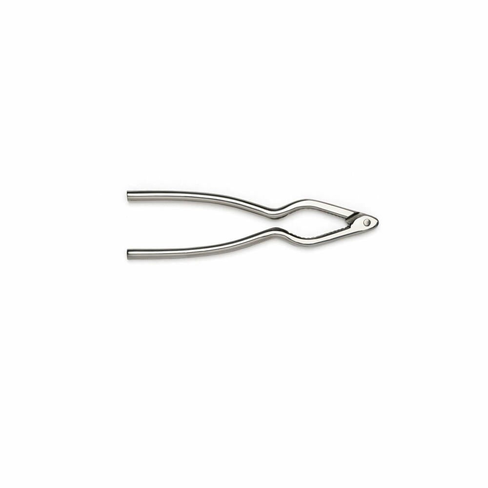 Comas nutcracker, nut opener for walnuts and hazelnuts, stainless steel 18/10, 16 cm, 3623