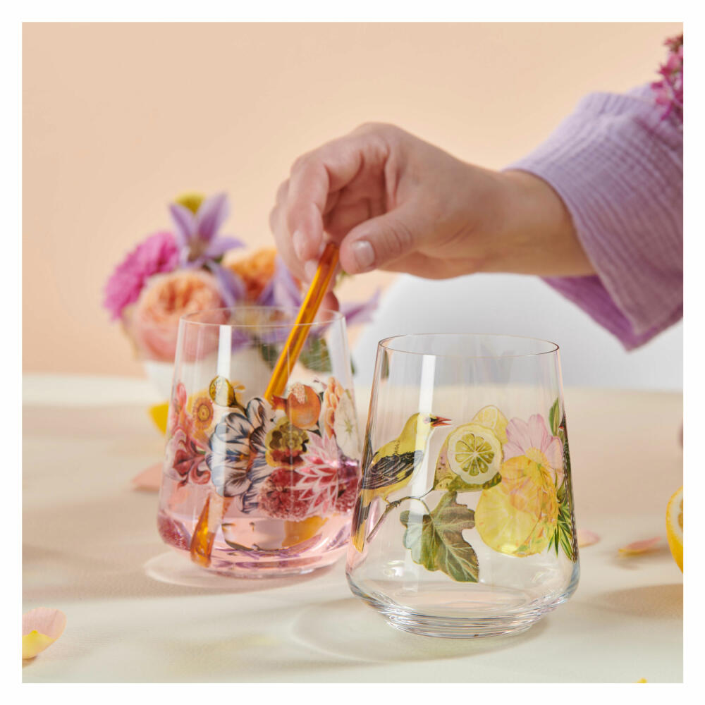 Ritzenhoff Universalglas 2er-Set Sommertau 001, 002, Olaf Hajek, Kristallglas, 510 ml, 2932001