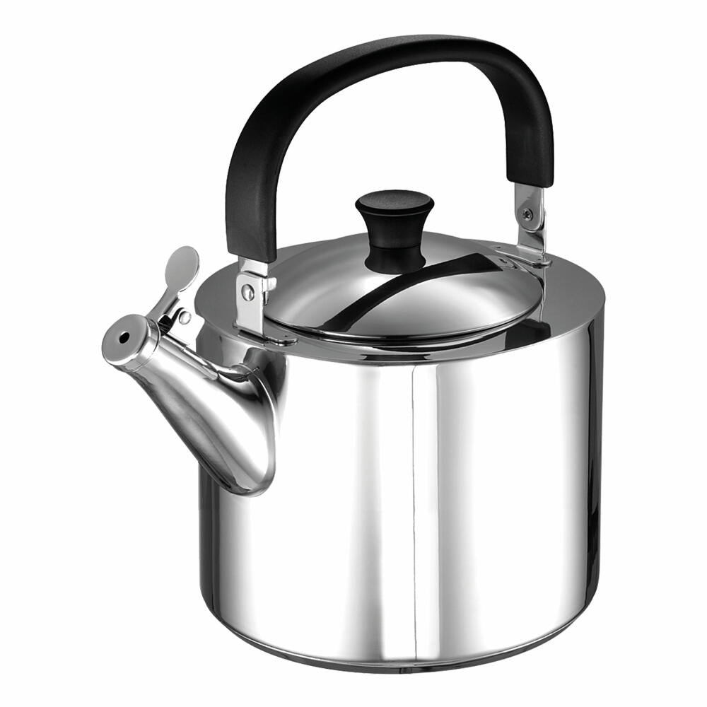 Schulte-Ufer Bert whistling kettle with swivel handle, kettle, kettle, stainless steel, 18 cm, 68045-18