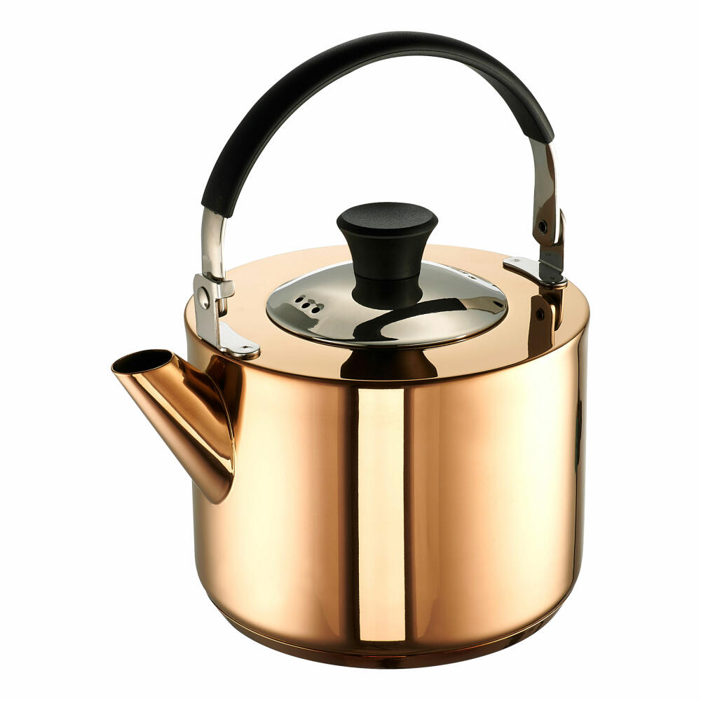 Schulte-Ufer Katja tea kettle with insert, kettle, kettle, stainless steel, 14 cm, 68046-14