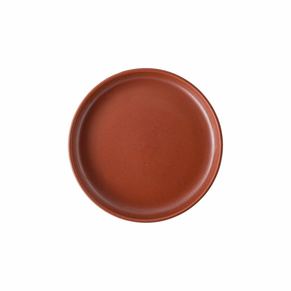 Rosenthal Gourmetteller Joyn Spark, Steinzeug, Rot, 20 cm, 24120-405302-60970