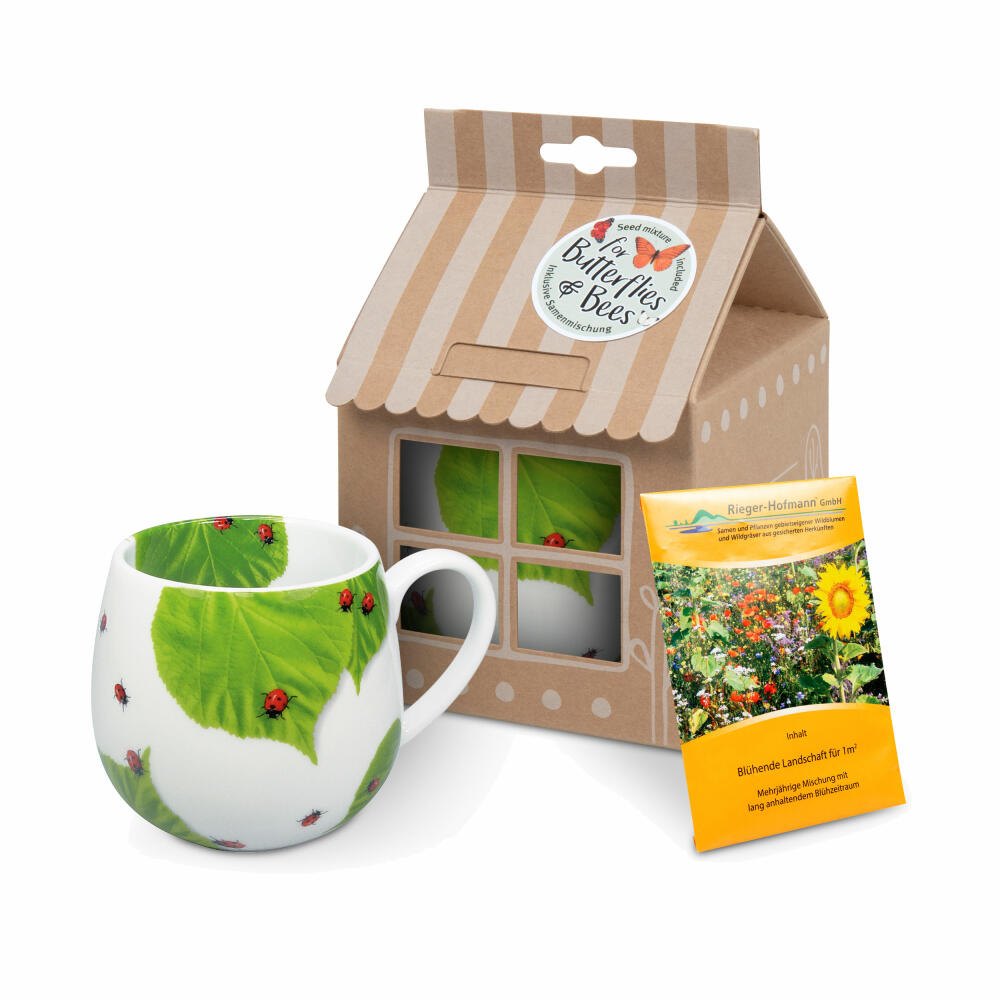 Könitz Becher Marienkäfer auf Laub mit Samentüte in Geschenkbox, Tasse, Porzellan, Bunt, 420 ml, 11 5 000 0876